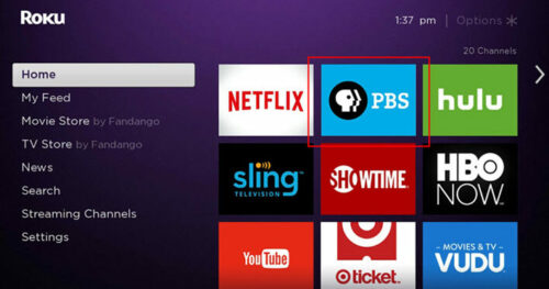 Pbs on Roku